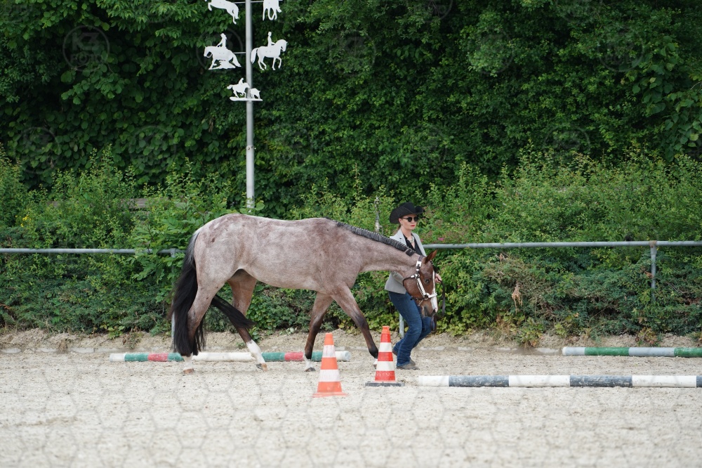 s_A9_06625.jpg